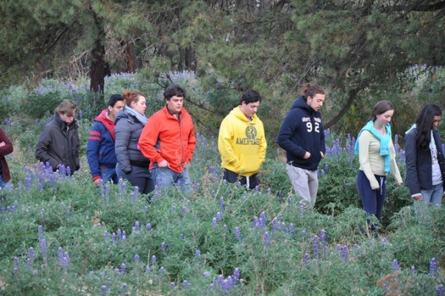 caminando en el bosque